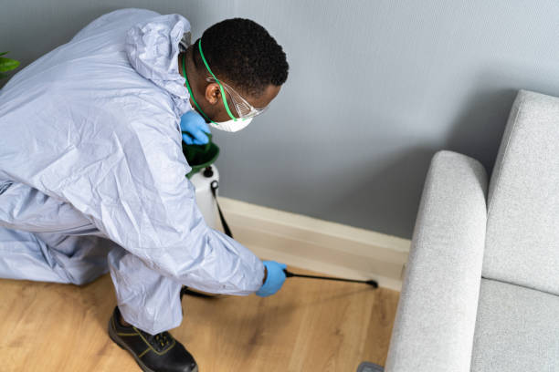 Best Indoor Pest Control  in Lmdale, PA